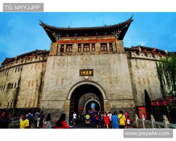 纽约城与波兰特伐木的对决谁能在城市与自然之间找到平衡